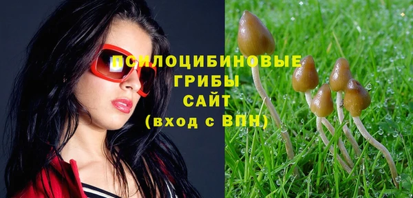 spice Мегион