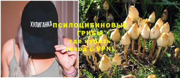 spice Мегион