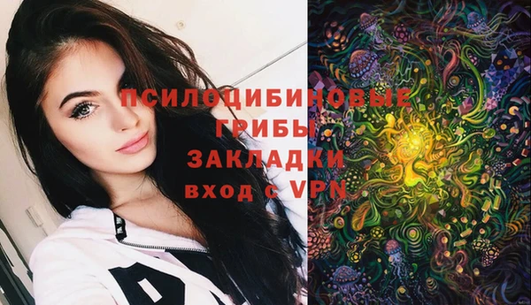 spice Мегион