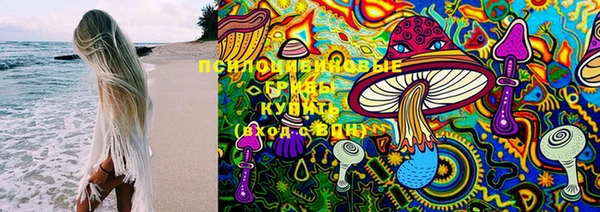 apvp Медвежьегорск