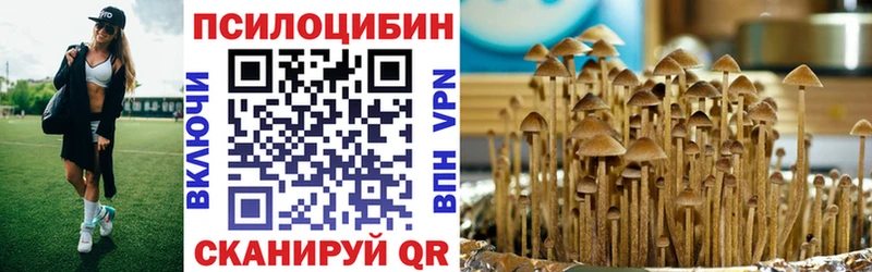 Псилоцибиновые грибы мицелий Выборг