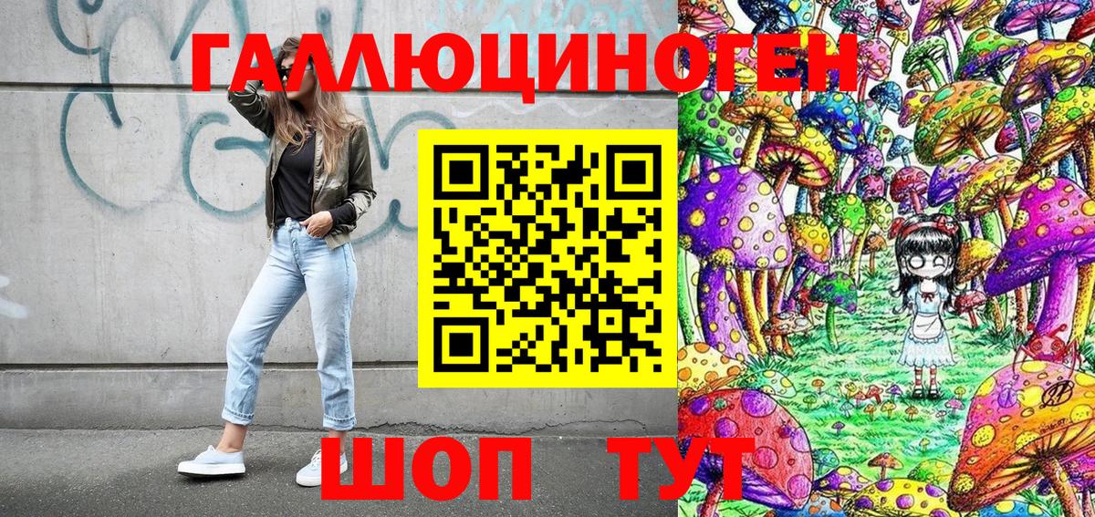 Псилоцибиновые грибы мухоморы  Вход с VPN  где продают наркотики  Выборг  Галлюциногенные грибы Psilocybine cubensis 