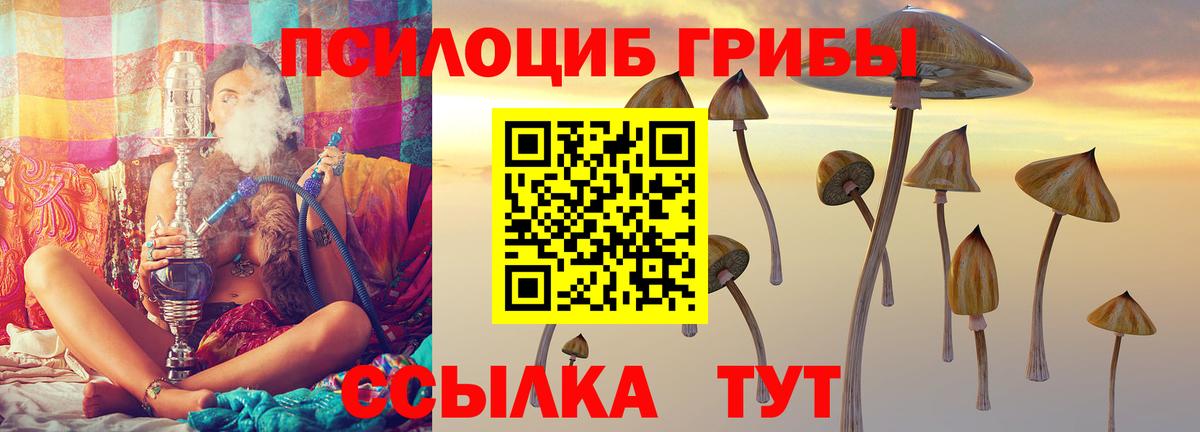 Галлюциногенные грибы мицелий Выборг