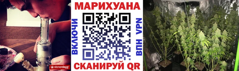 Конопля планчик  Выборг 